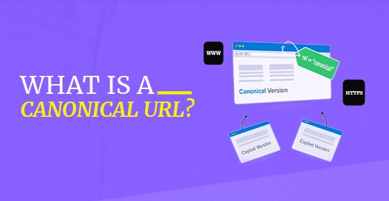 What Is A Canonical URL?